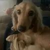 Scott Pilcher - @scott.pilcher - TikTok