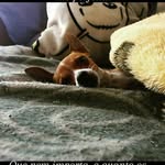 Scott Pinscher - @scott_pinscher - Instagram