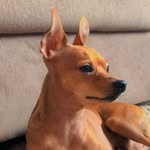 Scott - @scottpinsche - Instagram