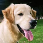 Scott Piper - @scottpipeer - Instagram