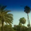 Scott Piper - @scott.piper3 - TikTok