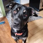 Scott Plate - @scott.plate1 - Instagram