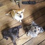 Scott Poole - @scott.poole.33449 - Instagram