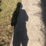Lucas Scott Porteous - Facebook
