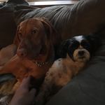 Scott Post - @windowmaker2413 - Instagram