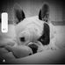 Scott Potts - Facebook