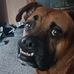 Scott Potts - Facebook