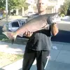 Scott Poulsen135 - @scottpoulsen135 - TikTok