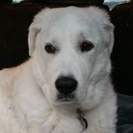 Scott Prescott - @scott.prescott.526 - Instagram