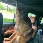 Scott Prichard - @scott_prichard919 - Instagram