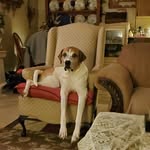 Scott Prichard - @scott.prichard.585 - Instagram