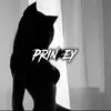 Scott Prinkey - @prinkey2 - TikTok
