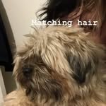 Sethscovich - @mad_scottish_prophet - Instagram