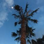 Scott Provencher - @provencherscott - Instagram