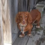 Sue Linscott Provencher - @linscottprovencher - Instagram