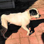 scott_prows - @scott_prows - Instagram