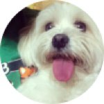 Puff Karrenstein-Scott - @puffers_scott - Instagram