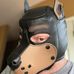 Pupper Scooter - Facebook