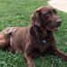 Scott Purkey - Facebook