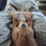 Scott Quale - @enzo01082012 - Instagram