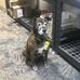 Scott Quast - Facebook