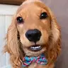 Scott Quill - @user40787656 - TikTok