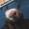 scotty - @scottquillgrim - TikTok