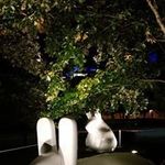 Scott N Angie Rabbitt - @therabbittfam6 - Instagram