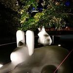 Scott Rabbitt - @rabb__itt - Instagram