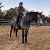 scottyarnold - @scottyarnold - TikTok