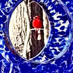 Scott Radcliff - @tscott_radcliff - Instagram