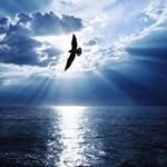 Scott Radcliffe - @scott.radcliffe.56 - Instagram