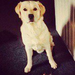 Scott - @scott_rademaker - Instagram