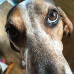 Scott Radke - @srblues9 - Instagram