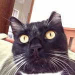 Scott Radloff - @bbqpanda - Instagram