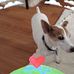 Scott Reuther - Facebook