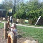 Scott Rains - @scottrains10 - Instagram