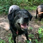 Scott R Rajski - @srrajski56 - Instagram