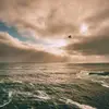 Scott Ramirez - @scottramirez5959 - TikTok