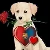 Scott Ramirez - @marti67623 - TikTok