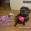 Scott Ramsay - @scott.ramsay47 - TikTok