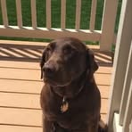 Scott Randle - Facebook