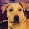 scottredding958 - @scottredding958 - TikTok