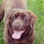 Scott Redfern - @scottylad980 - Instagram