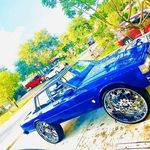 Scott Reedy - @scottreedy8 - Instagram