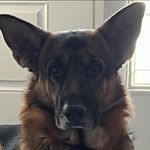 Scott Reedy - @reedyscott1128 - Instagram