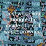 Scott Regier - @scottregier - Instagram