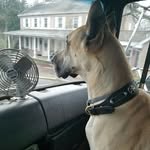 Scott Reider - @bojangles1966789 - Instagram