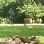 Scott Reimer - @sreimer8675 - Instagram