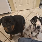 Scott Reiner - Facebook